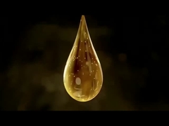 Oli/Pelumas Bensin/Pengubah/Penstabil -Trimethylolpropane Trioleate TMPTO -Liquid -CAS 57675-44-2