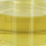 Minyak Pelumas Modifier Stabilizer Pentaerythrityl Oleate PETO Liquid CAS 19321-40-5